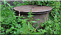 J3067 : Manhole cover, Dixon Park, Belfast by Albert Bridge