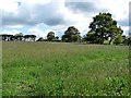 Hay crop above Hampeth