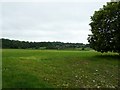 Looking south from the entrance of Old Waterworks Farm