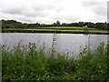 The River Bann at Camus