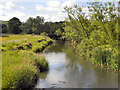 River Derwent, Derwenthaugh Park