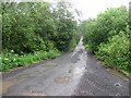 Road, Whitemoss Wood