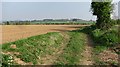 Cultivated field near Fouts Cross