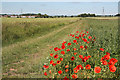 View from Grassthorpe Lane