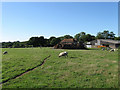 TQ5407 : Barn Field by Simon Carey