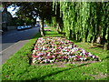 Flowerbeds at St Paul