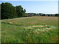 Hoblingwell Wood Recreation Ground, St Paul