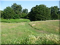 Looking towards Hoblingwell Wood, St Paul