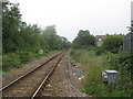 Marshlink line towards Appledore