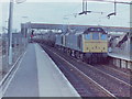 Class 25s on Tank train at Bescot, 1981