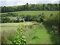 Footpath to  Amage Lane