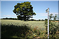 Footpath to The Grange