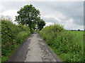 Ghyll Lane (East)