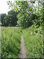 Footpath across Tong Moor - viewed from Moorlands Road