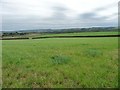 Grassland south of Intake Lane