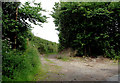 Byway to Claverley, Shropshire