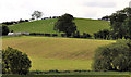 Fields near Balloo