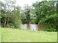 River Usk near Llanwenarth