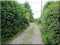 Lane near Swinfordmill Farm