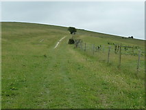 TQ0909 : Bridleway 2173 climbing the western slope of Blackpatch Hill by Dave Spicer