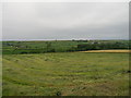 Farmland near Broom House