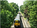 TQ3064 : The 11:53 from Victoria between Waddon and Wallington by Robin Webster