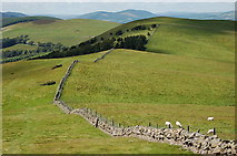 NT0535 : Ridge to Knowehead Hill by Jim Barton