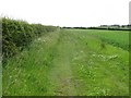 NT8238 : Fieldside track, Wark by Richard Webb