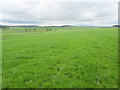 Countryside North of Barnoldswick