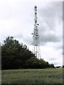 Communications mast, near Great Wood