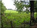 Derrycor Townland