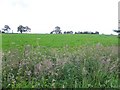 Eglish Townland