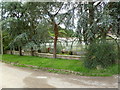 Godshill, disused glasshouses