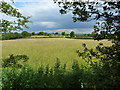 Across a field to a roadside pub