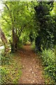 Footpath to Grove