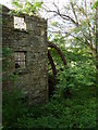 G8278 : Old Mill at Drumduff 2 by louise price