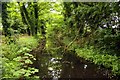 The Wilts & Berks Canal at East Challow