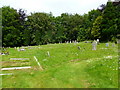 Tarrant Rushton, churchyard