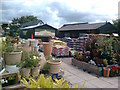 Garden centre off High Street, Maldon