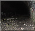 Inside Square Spinney Tunnel