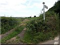 Field gate and signpost at Reevacre Cross