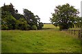 Field by Warborough Farm