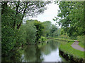 Caldon canal east of Birches Head, Stoke-on-Trent