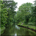 Caldon Canal south of Milton, Stoke-on-Trent