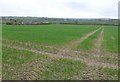 SP2440 : Fields on Campden Rd by Nigel Mykura