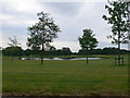 Lake at Carden Park