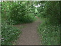 Footpath through Square Spinney