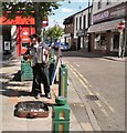 Accordionist Busker