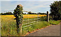 Gate, Hillsborough