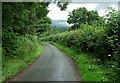 Country road near Weston Rhyn